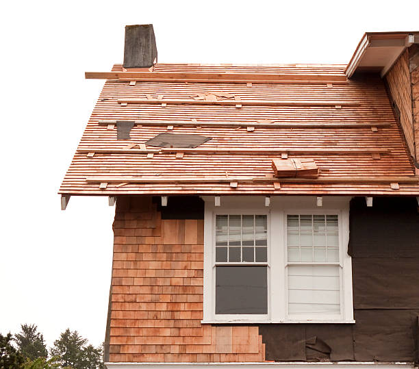 Affordable Siding Repair and Maintenance Services in Red Lake Falls, MN